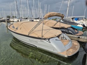 Grijze Waterspoor 717