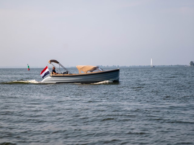 Grijze waterspoor 717